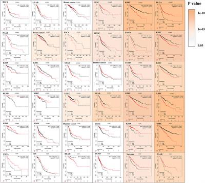 A systematic pan-cancer analysis of the gasdermin (GSDM) family of genes and their correlation with prognosis, the tumor microenvironment, and drug sensitivity